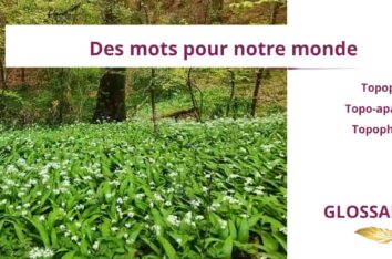 topophilie, glossaire du nouveau monde